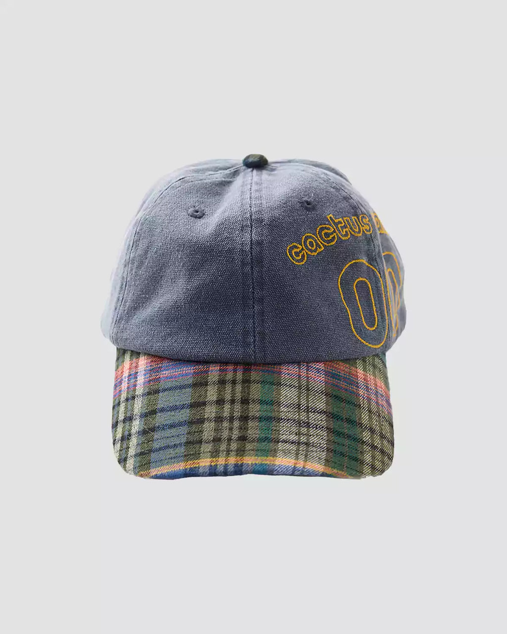Cactus Canvas Hat