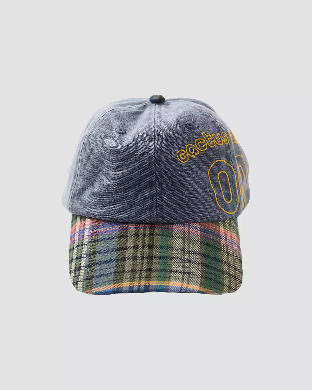 Cactus Canvas Hat
