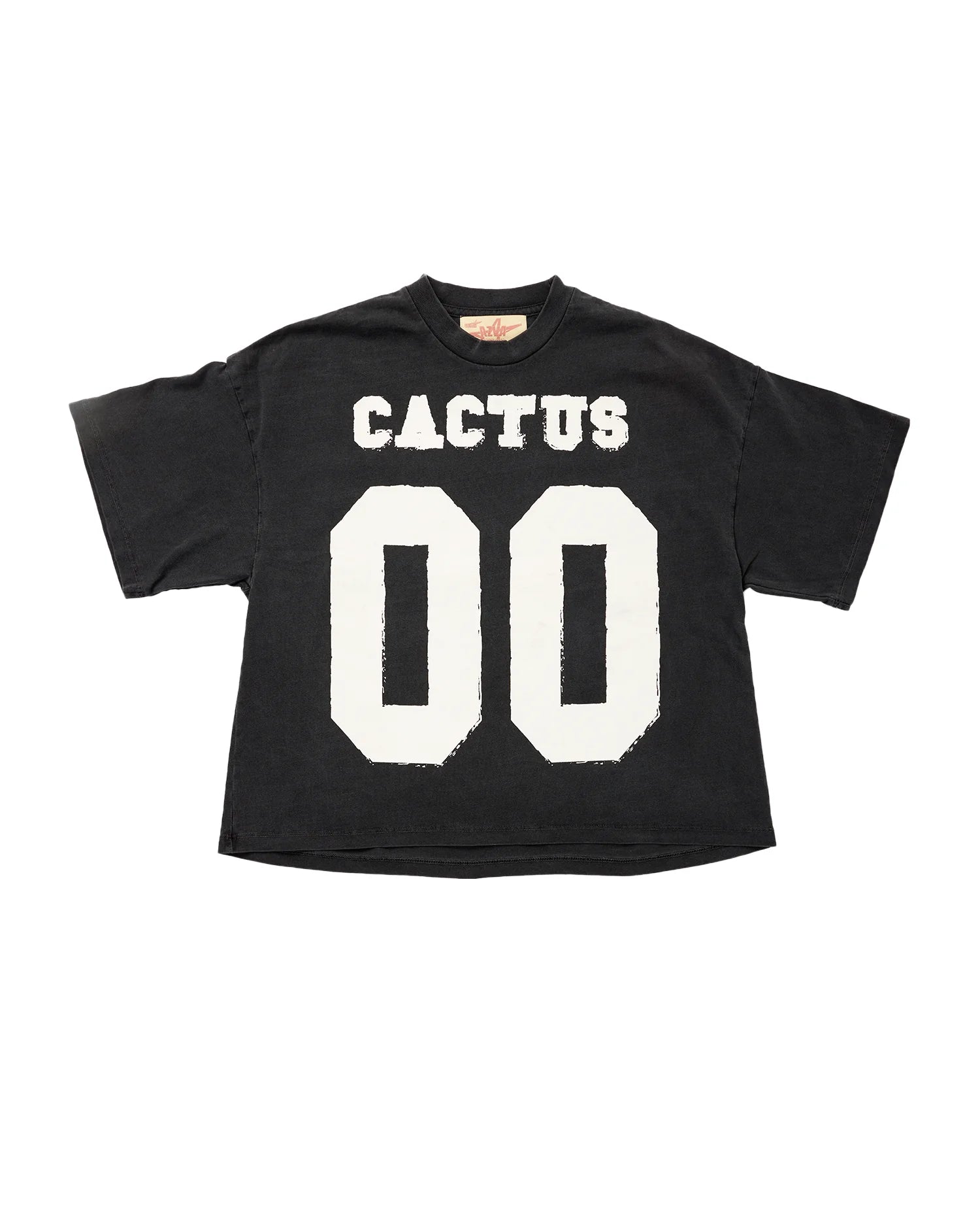 Cactus Valley 00 Tee