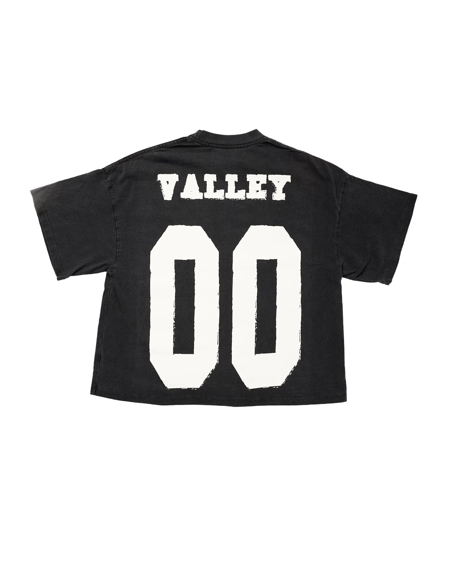 Cactus Valley 00 Tee