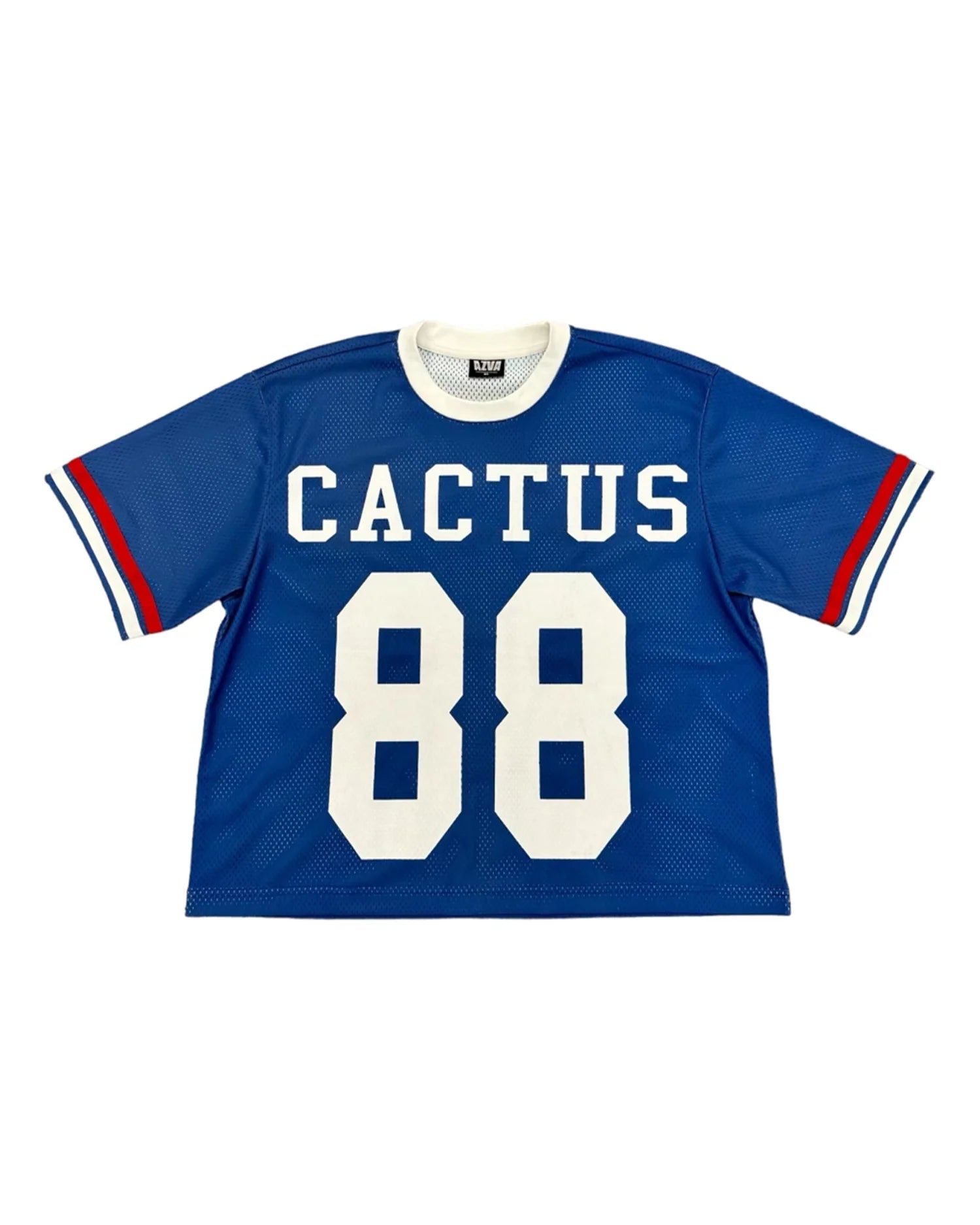 Cactus Valley Cactus America Jersey