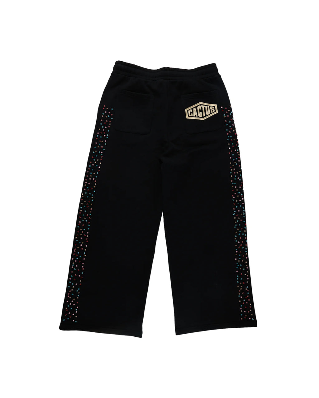 Cactus Valley Crystal Cactus Sweatpants