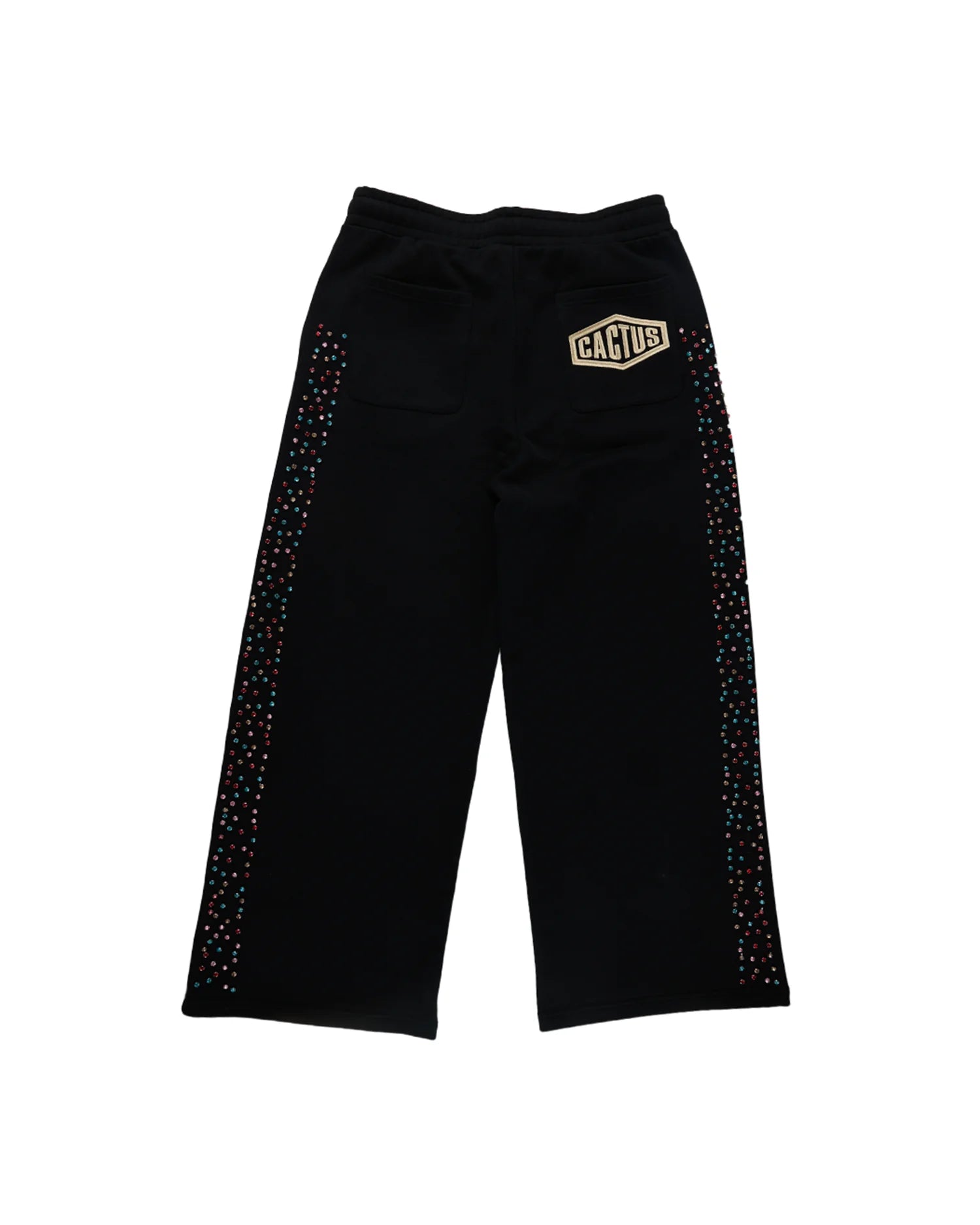Cactus Valley Crystal Cactus Sweatpants