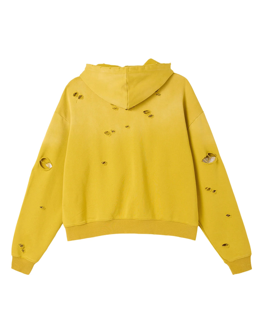 Cactus Valley Eagle Valley Distressed Hoodie