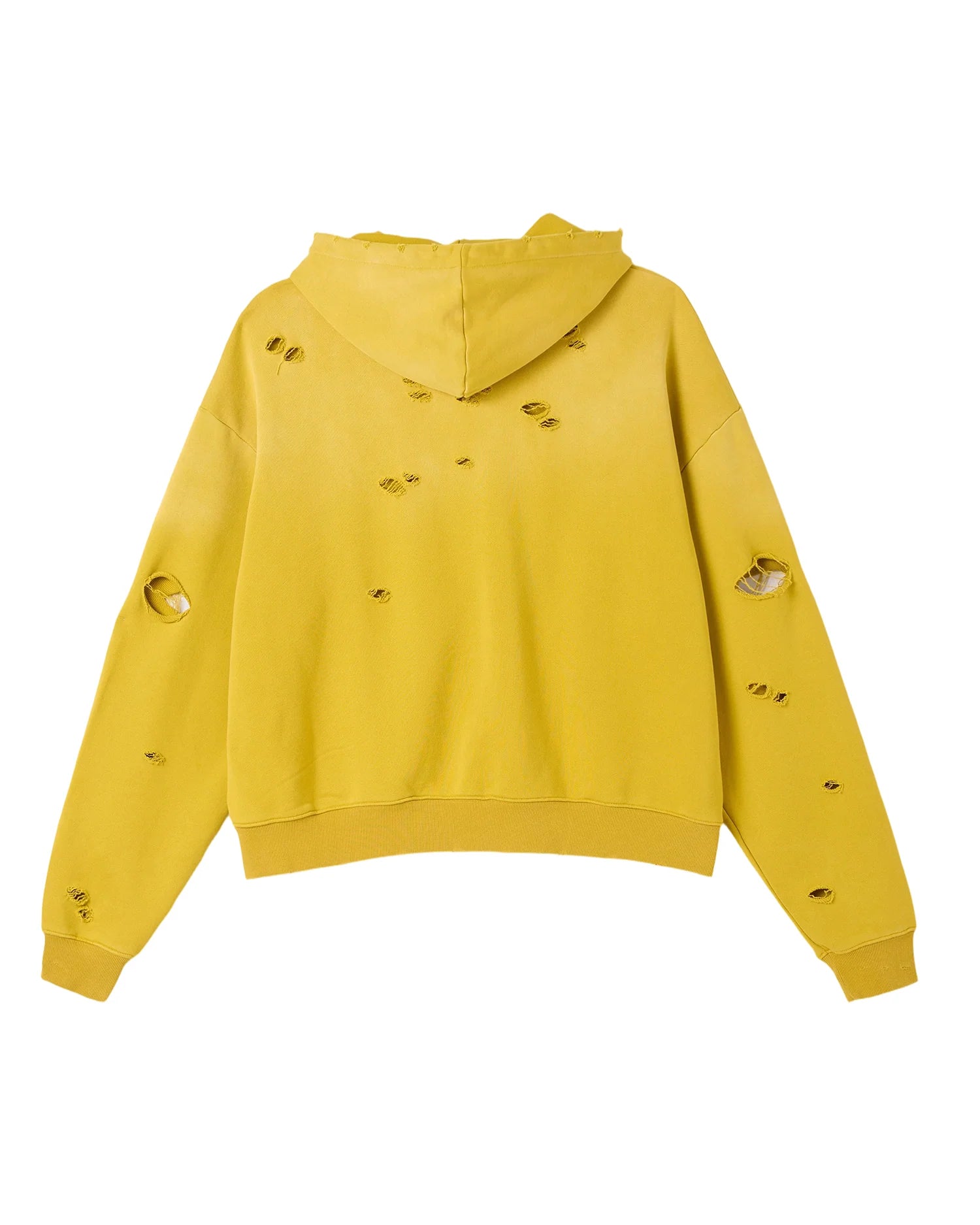 Cactus Valley Eagle Valley Distressed Hoodie