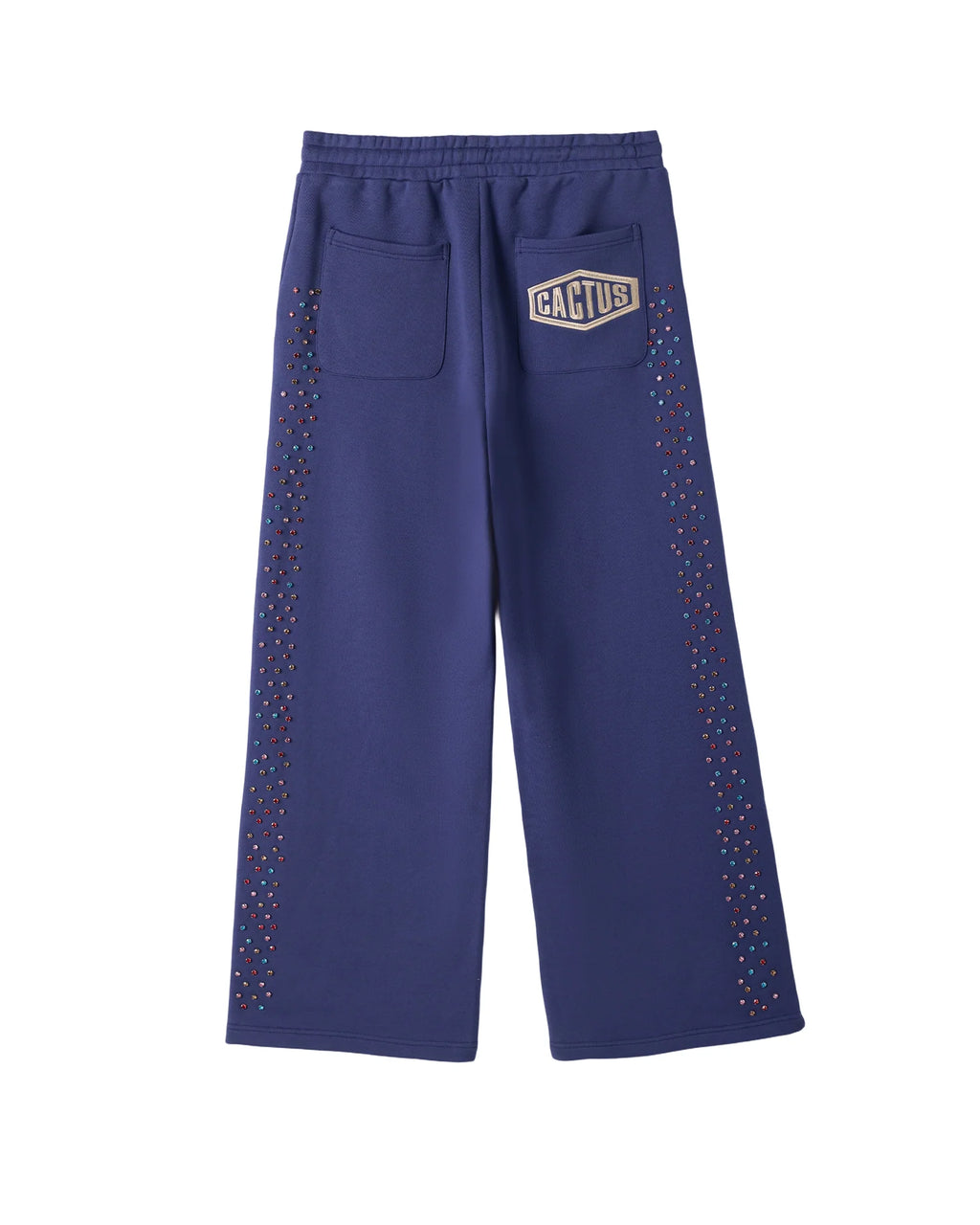 Cactus Valley Crystal Cactus Sweatpants
