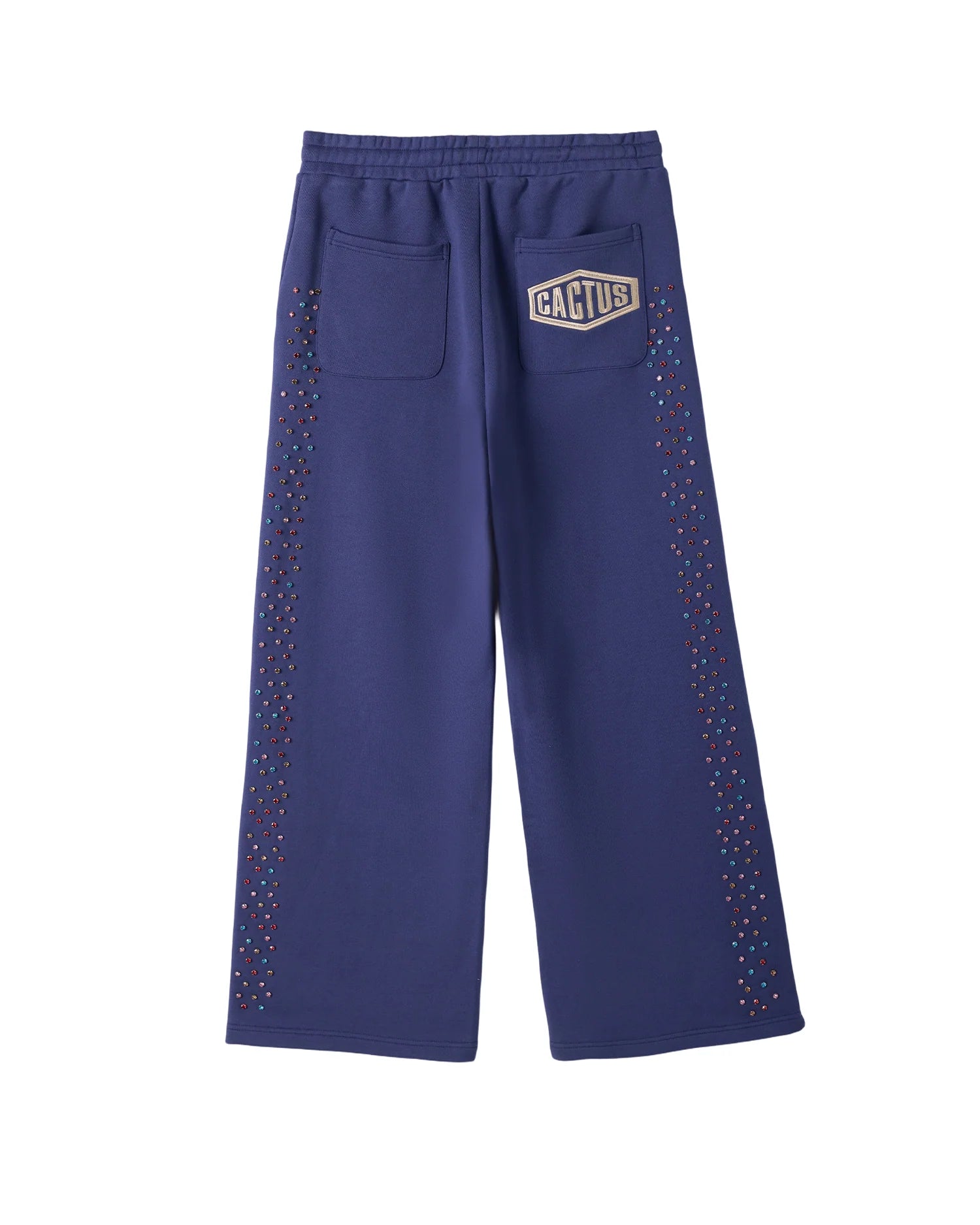 Cactus Valley Crystal Cactus Sweatpants