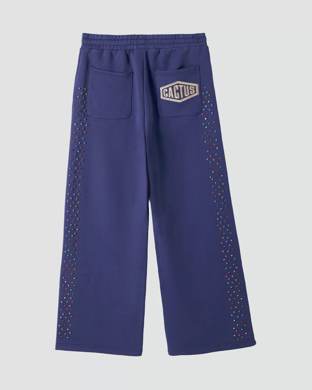 Cactus Valley Crystal Cactus Sweatpants